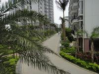 天赐碧园实景图2012-11-19