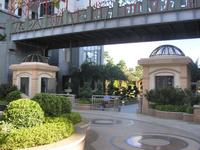 天赐碧园实景图2012-11-19
