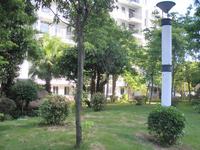 天赐碧园实景图2012-11-19