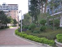 天赐碧园实景图2012-11-19