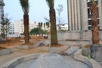 北海南岸实景2012.10.17