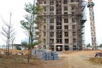 北海南岸实景2012.10.17