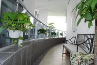 大S精装样板间