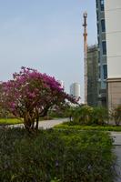 海韵佳园一期实景2012.10.18