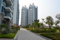 海韵佳园一期实景2012.10.18