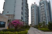 海韵佳园一期实景2012.10.18