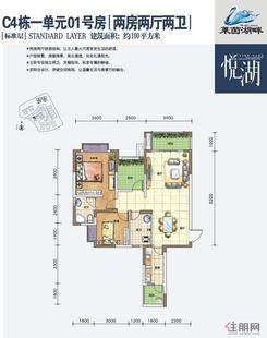 【[标准层]C4栋一单元01号房】2室2厅2卫1厨3阳台