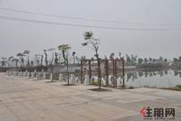 碧水天和西面滨江公园实景图(3.5)