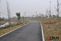 碧水天和西面滨江公园实景图(3.5)