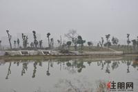碧水天和西面滨江公园实景图(3.5)