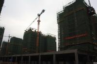 龙凤首缘实景图(11.19)