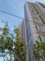 香堤雅院实景图(5.7)