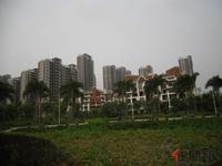 融晟·公园大地实景图(3.30)
