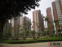 融晟·公园大地实景图(3.30)