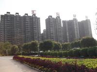 2012.10.24.汇东星城实景图