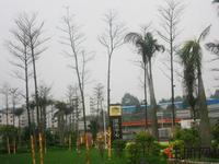 瑞和家园实景图(3.30)