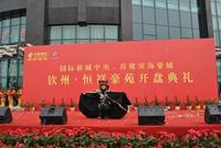 钦州·恒祥豪苑12月17日首度开盘