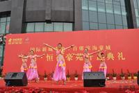 钦州·恒祥豪苑12月17日首度开盘