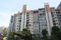 维也纳森林实景图(9.10)