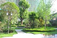 7.10童心缘园林实景图