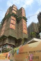 盛天果岭实景图(5.12)