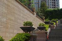 盛天果岭实景图(5.12)