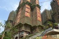 盛天果岭实景图(5.12)