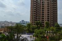 盛天果岭实景图(5.12)