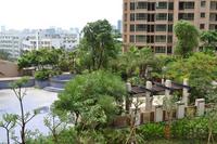盛天果岭实景图(5.12)