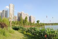 西建水岸华府周边环境（5.16）