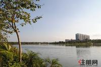西建水岸华府周边环境（5.16）
