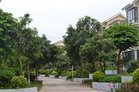 银滩万泉城1区实景