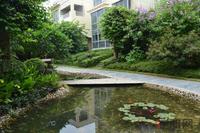 银滩万泉城1区实景