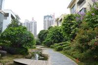 银滩万泉城1区实景