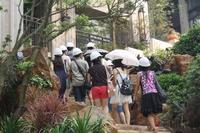 8月4日美泉1612预约火热开启