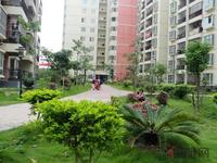 桃花源·香域中央实景图(6.1)