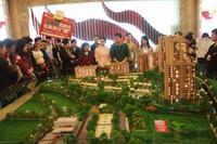 凤岭·名筑看房活动(12.15)