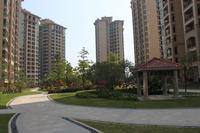 瀚林美筑小区实景图（2012.10.08）