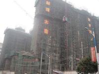 雄泰·香缇丽景在建项目 实景图 