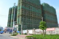 徳臣·金海花园实景图2012-9-14