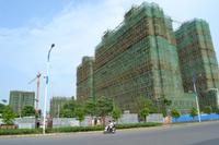 徳臣·金海花园实景图2012-9-14