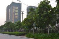 万基城·金领阳光实景图2012-10-9 