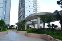 五楼的空中花园