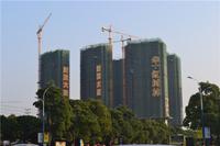 华一·红树林 实景图