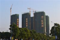 华一·红树林 实景图