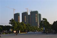 华一·红树林 实景图