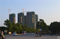 华一·红树林 实景图