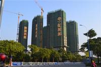 华一·红树林 实景图