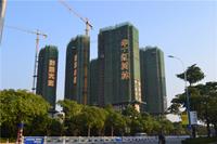 华一·红树林 实景图