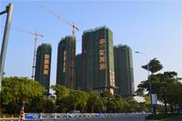 华一·红树林 实景图